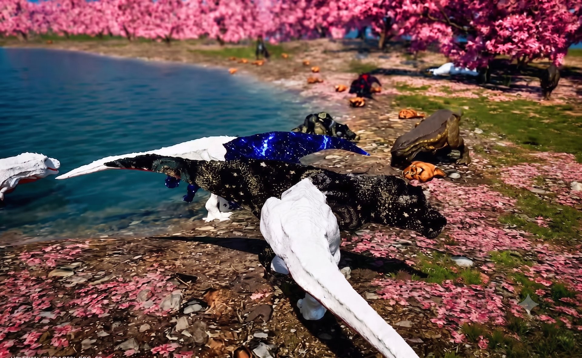 领地即尊严